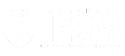 Faculdade IESM